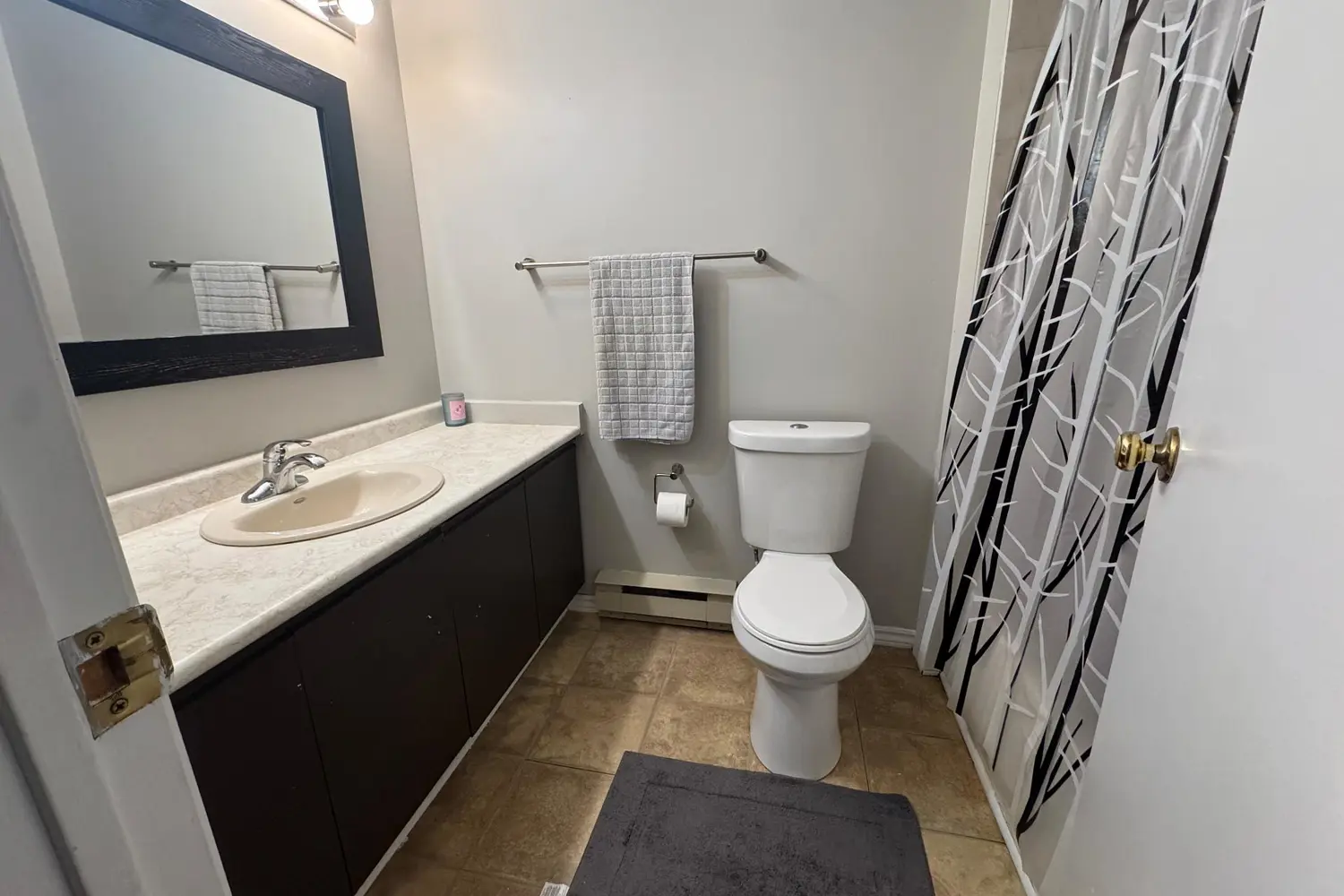 Additional image 20 of 315 Mullett Street 3