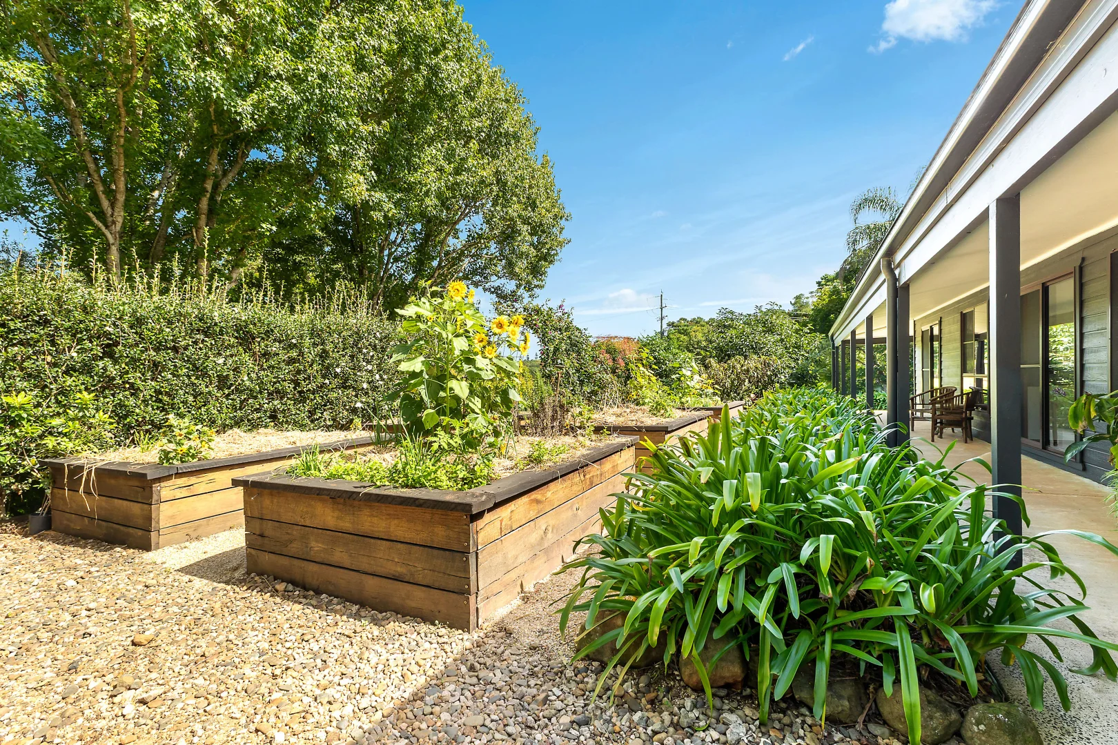 Additional image 11 of 74 Converys Lane, Wollongbar NSW 2477