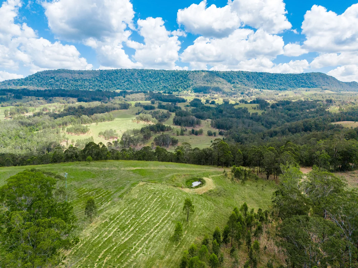 Additional image 28 of 497 Yabbra Road, Yabbra NSW 2469