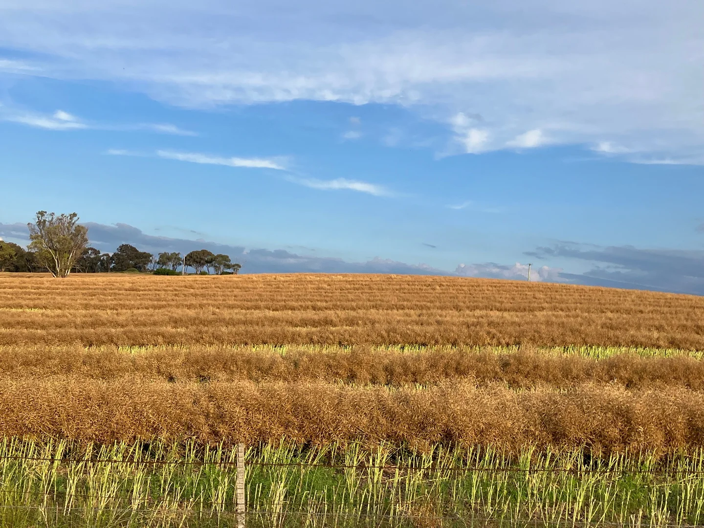 Additional image 15 of Kingsvale NSW 2587