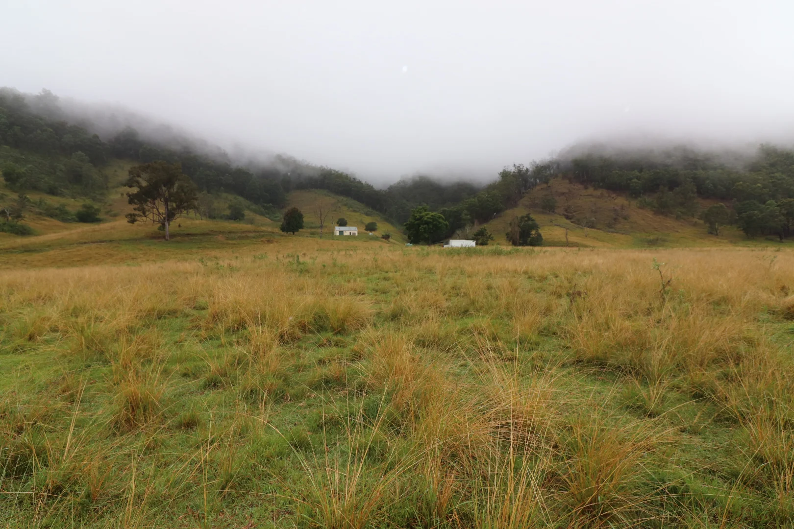 Additional image 30 of 95 Smiths Creek Road, Lower Creek NSW 2440