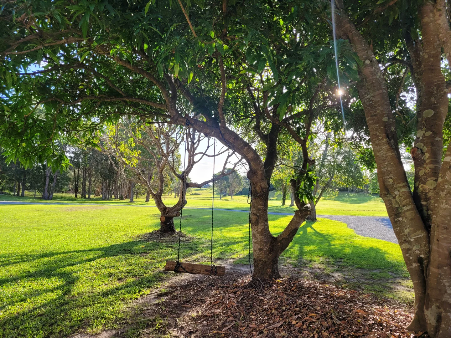 Additional image 21 of 1126 Pottsville Road, Pottsville NSW 2489