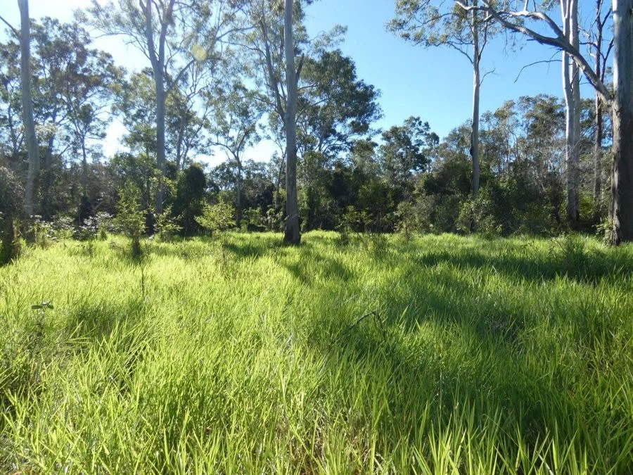 Additional image 28 of 264 Coast Road, Baffle Creek QLD 4674