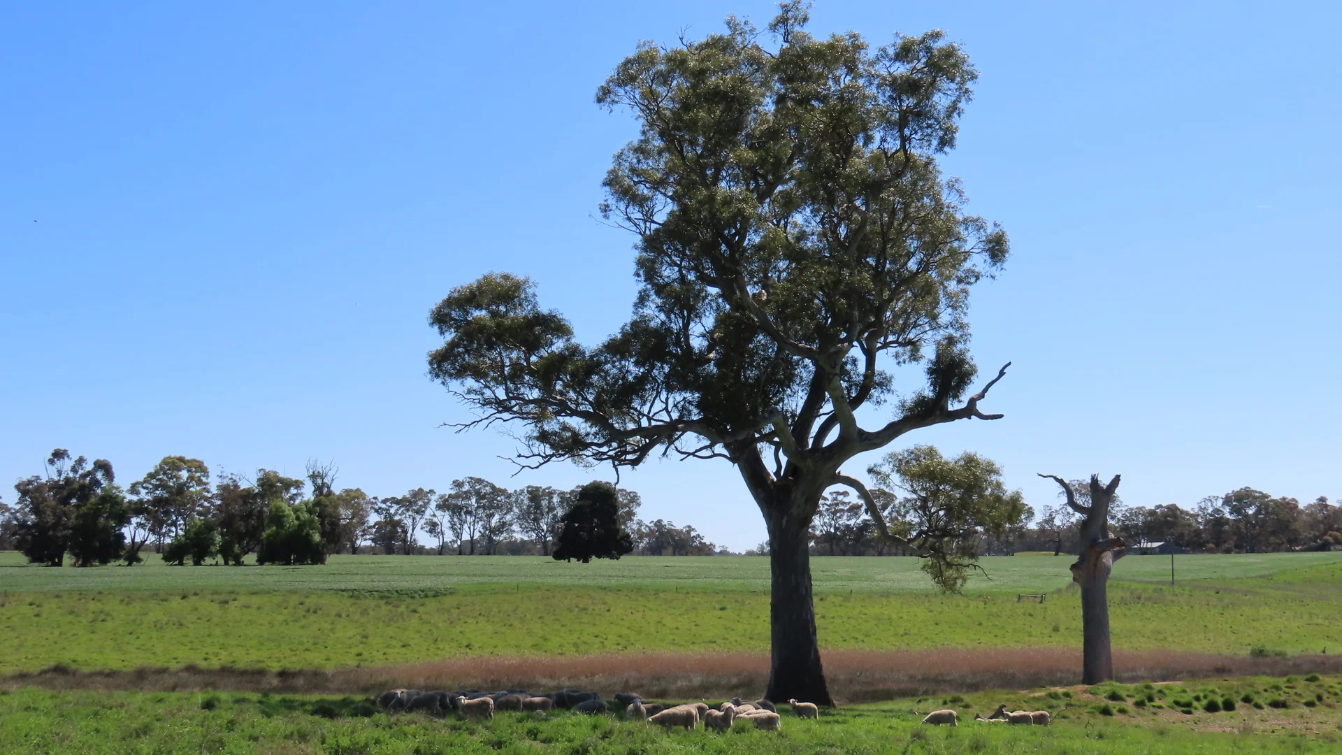 Additional image 33 of 173 Mcclures Rd, Connewirricoo VIC 3318