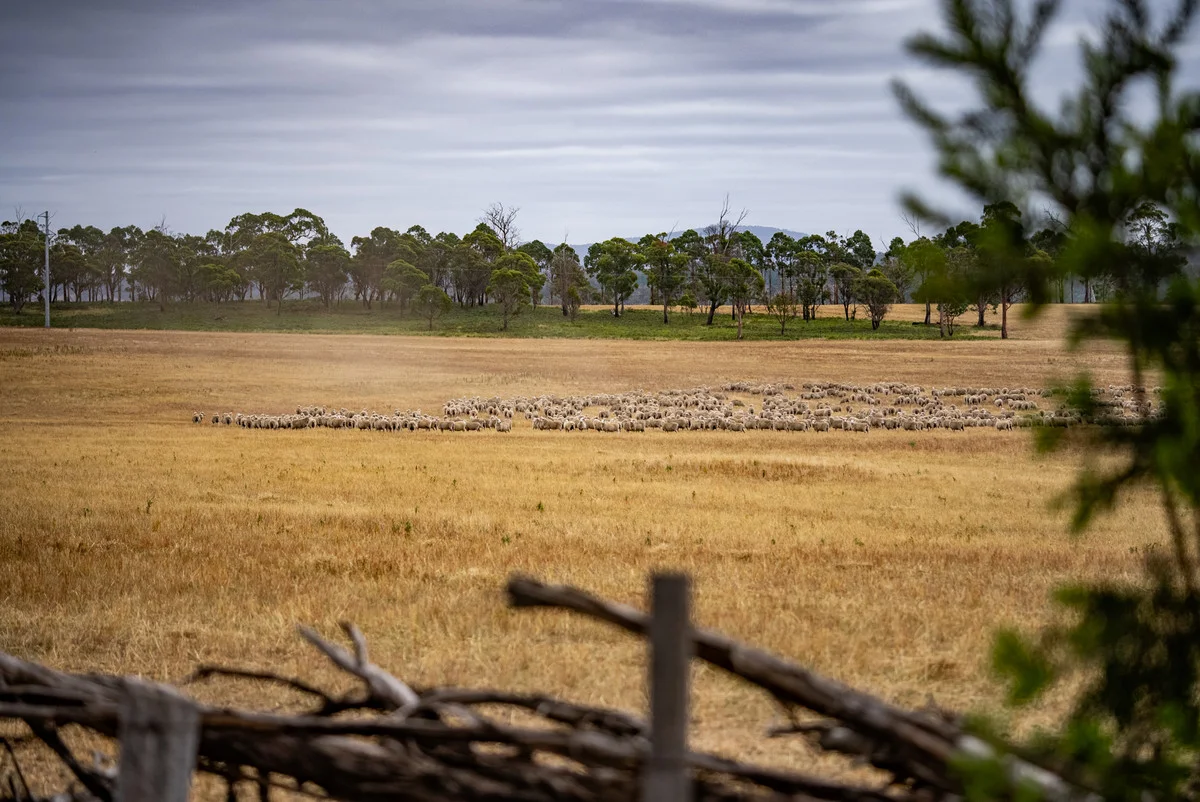 Additional image 7 of 196 Court Farm Road, Buckland TAS 7190