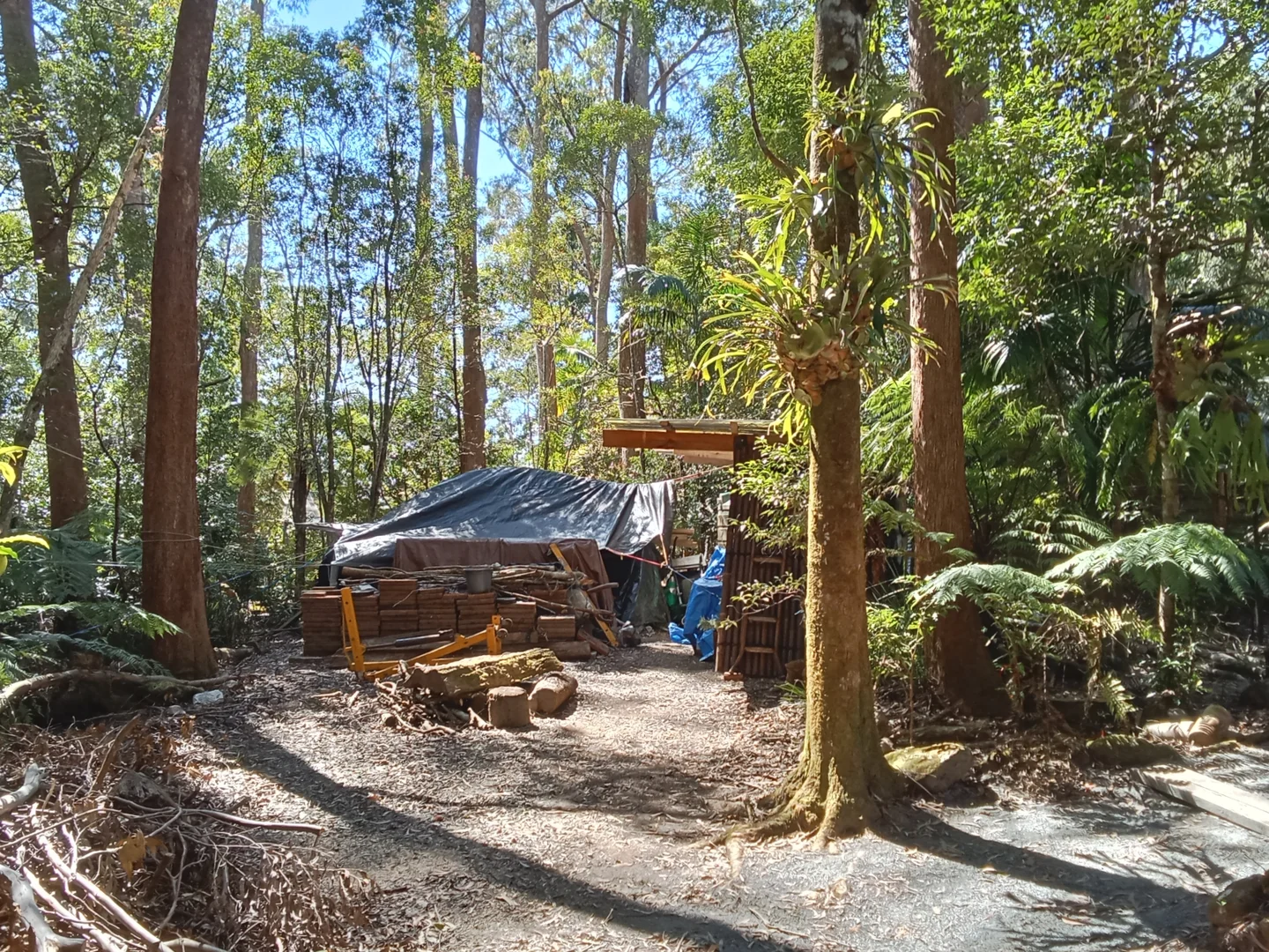 Additional image 5 of Springbrook QLD 4213