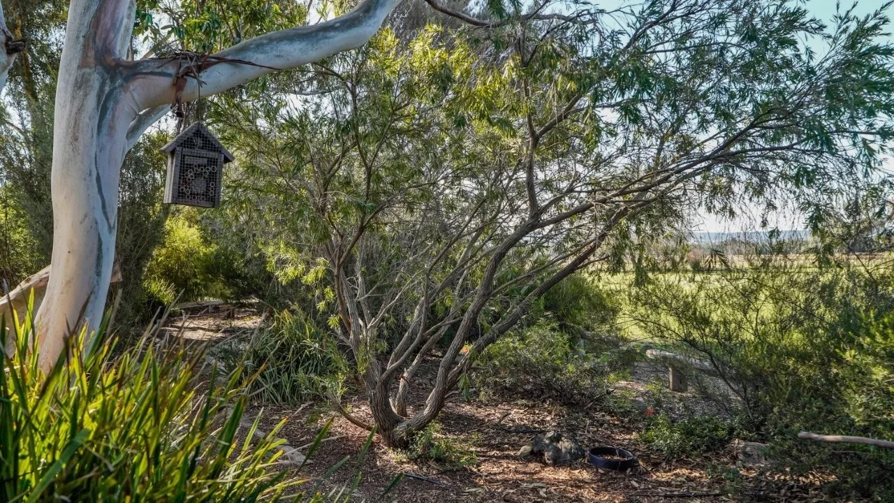 Additional image 38 of 3761 Neilrex Road, Neilrex NSW 2831