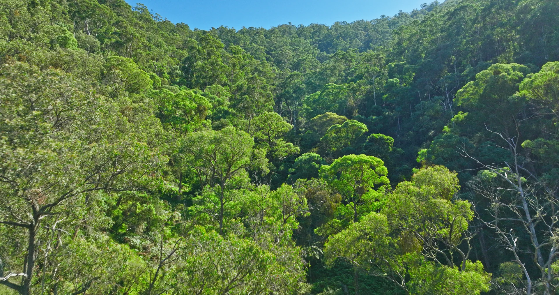 Additional image 14 of CA 9 Sec 20 Wonnangatta Road, Dargo VIC 3862