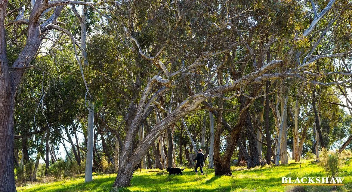 Additional image 9 of 114/31 Thynne Street, Bruce ACT 2617