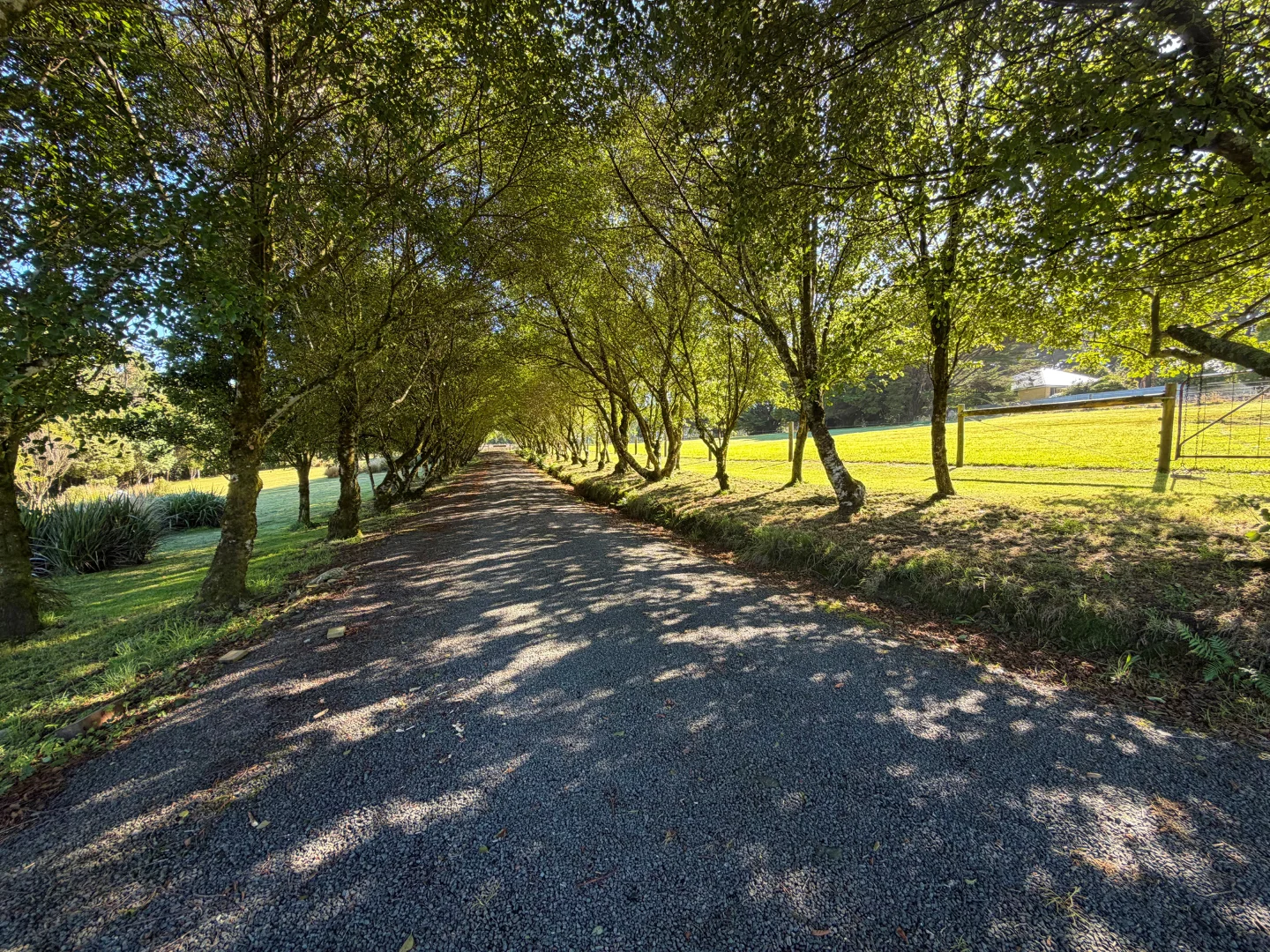 Additional image 3 of 4695 Colac Lavers Hill Road, Wyelangta VIC 3237