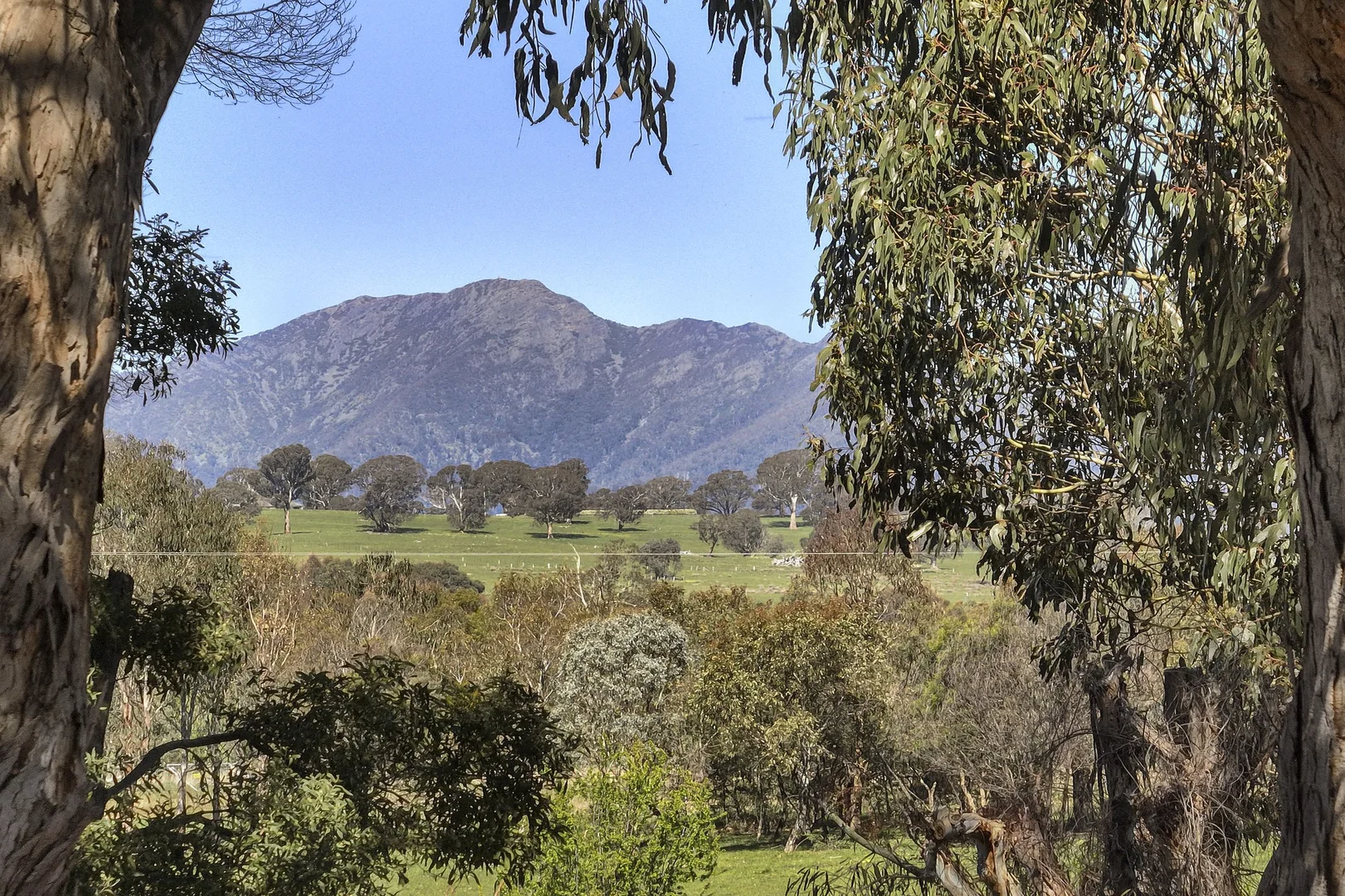 Additional image 5 of 439 Buttercup Road, Merrijig VIC 3723