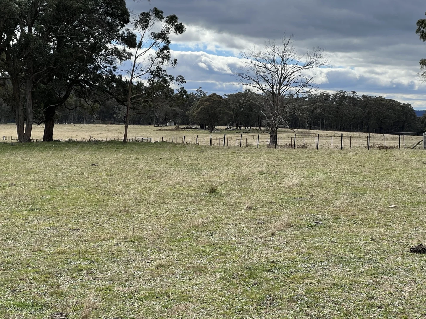 Additional image 4 of # Coopers Road, Red Range NSW 2370