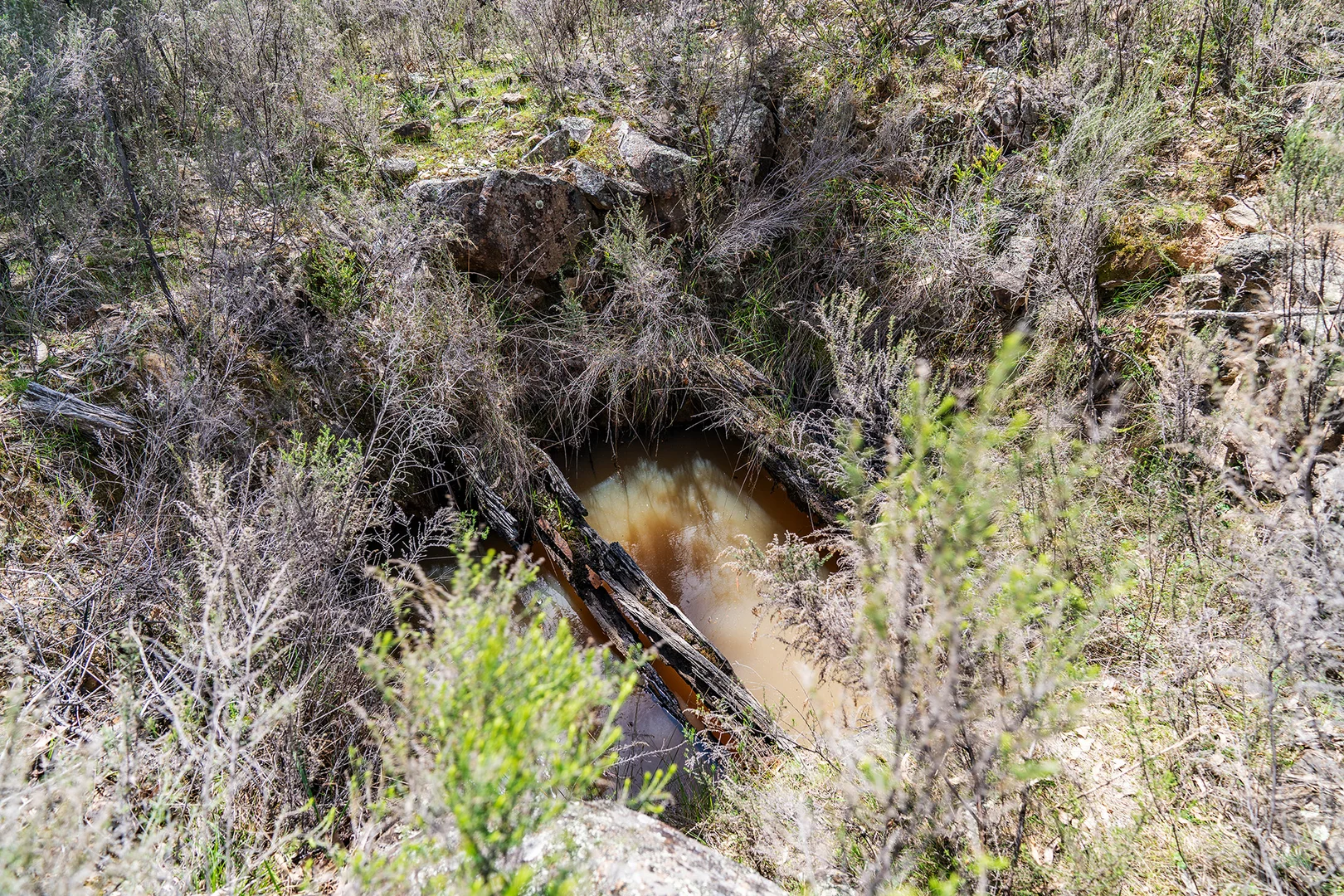 Additional image 10 of 125 Dirt Hole Creek Road, Mudgee NSW 2850