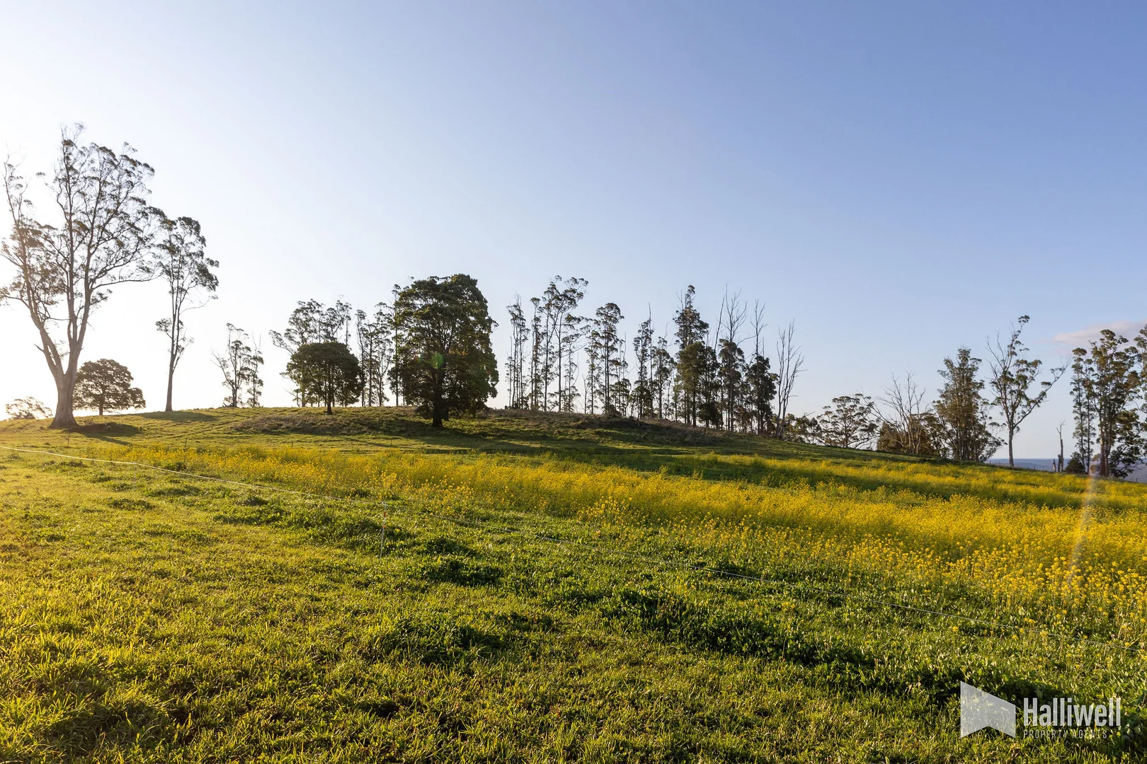 Additional image 3 of Maloneys Road, Sunnyside TAS 7305