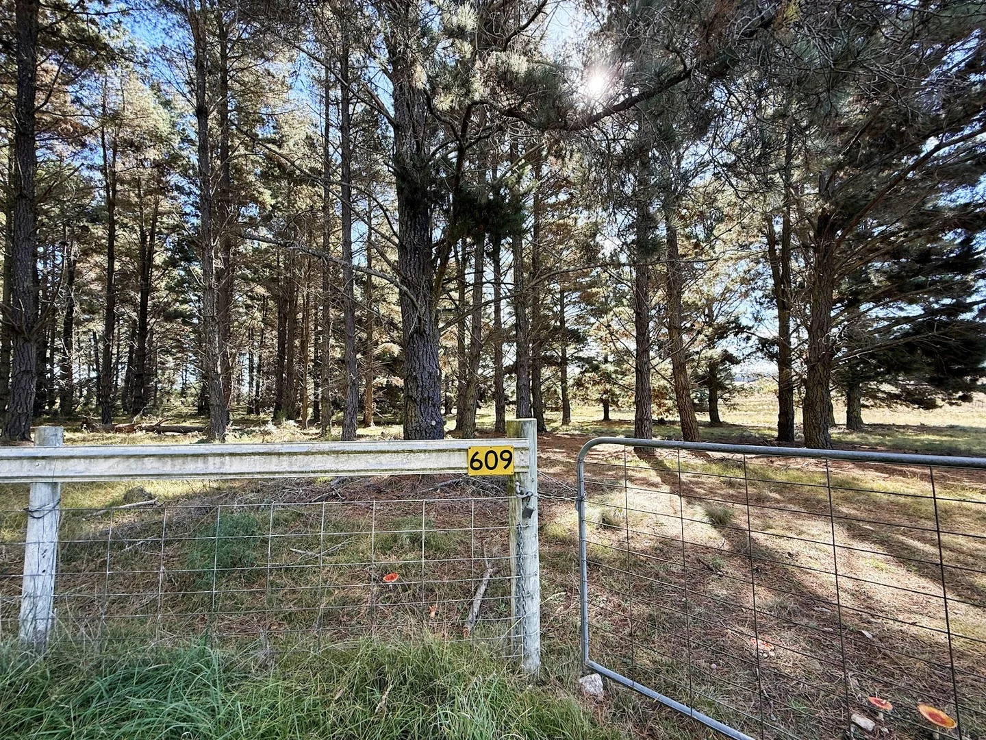 Additional image 2 of 609 Jacqua Road, Windellama NSW 2580