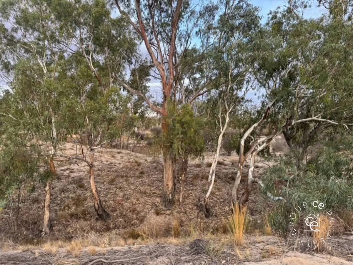 Additional image 13 of 28 River Reserve Road, Swan Reach SA 5354