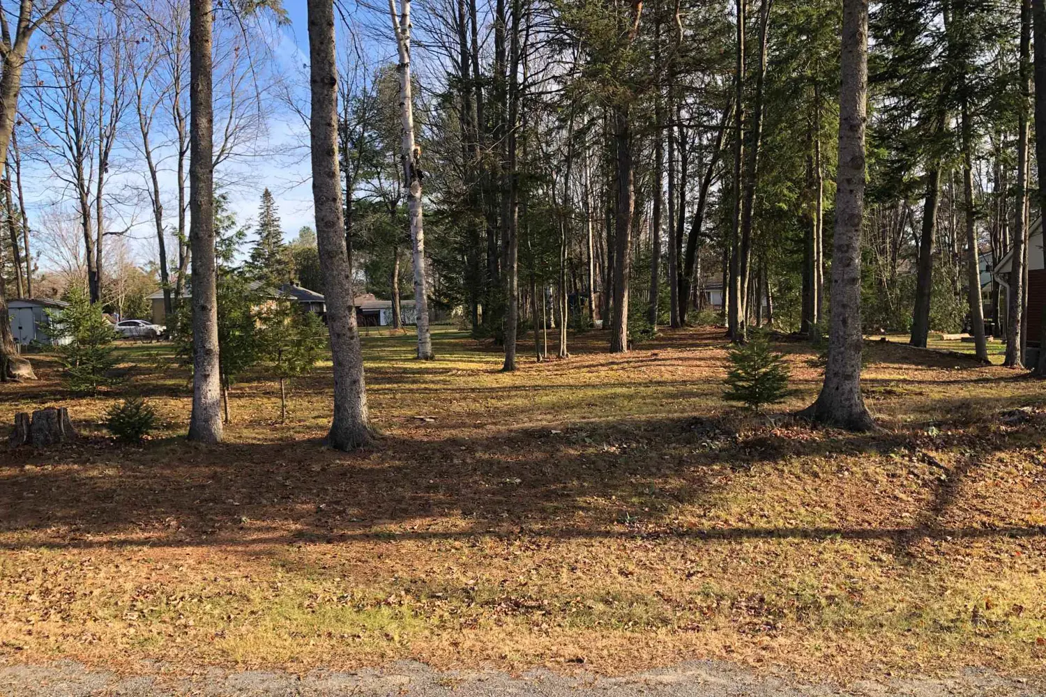 65 Vaan Drive photo 5