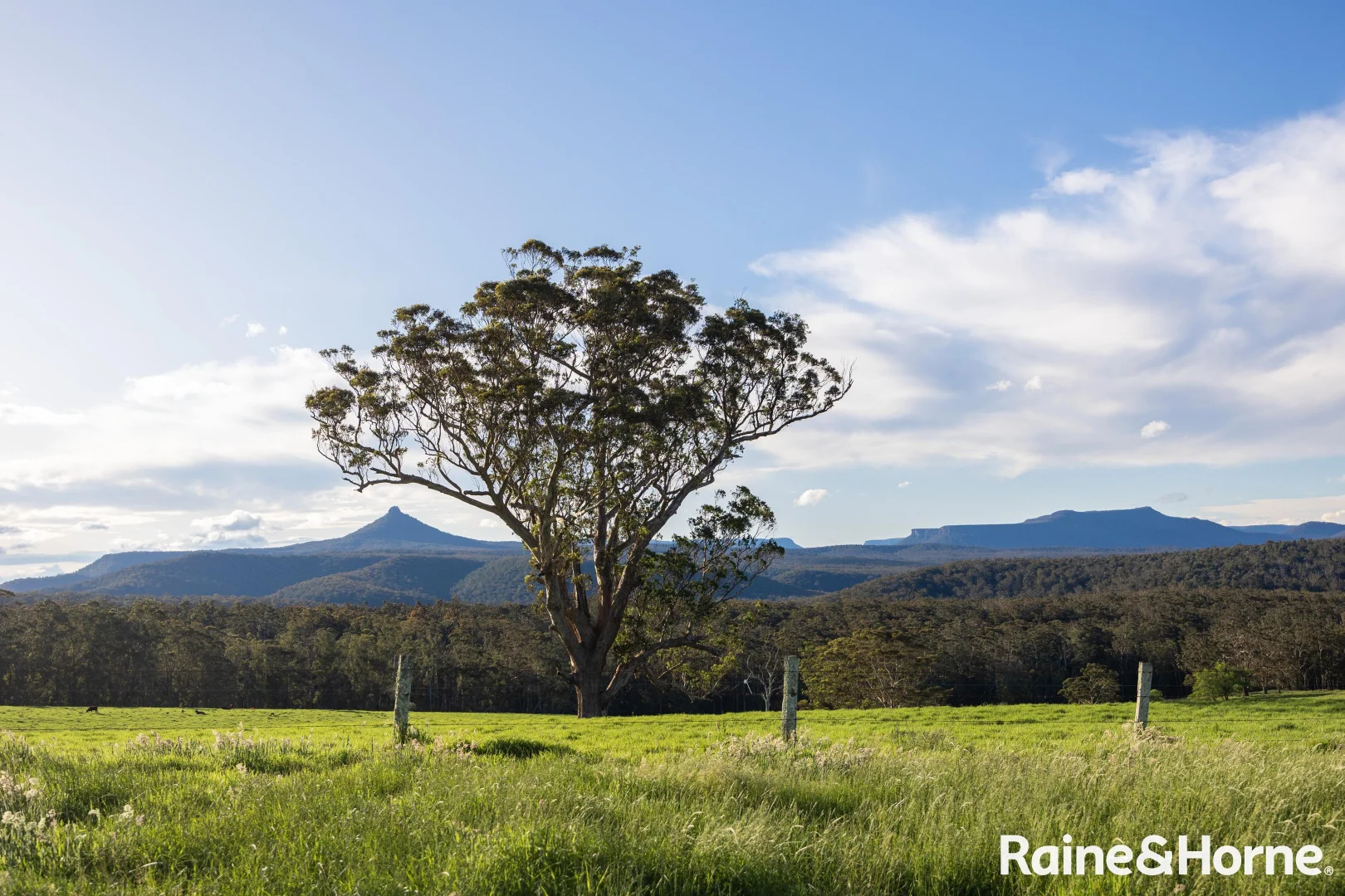 Additional image 7 of Lots 1-4, 265-266 Mimosa Park Road (via Milton), Morton NSW 2538