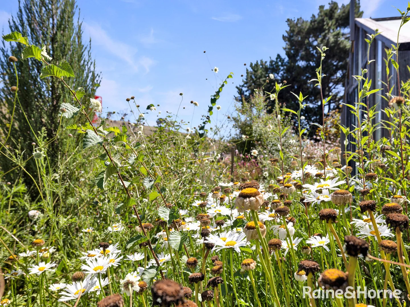 Additional image 24 of 720 Vale Road, Orton Park NSW 2795