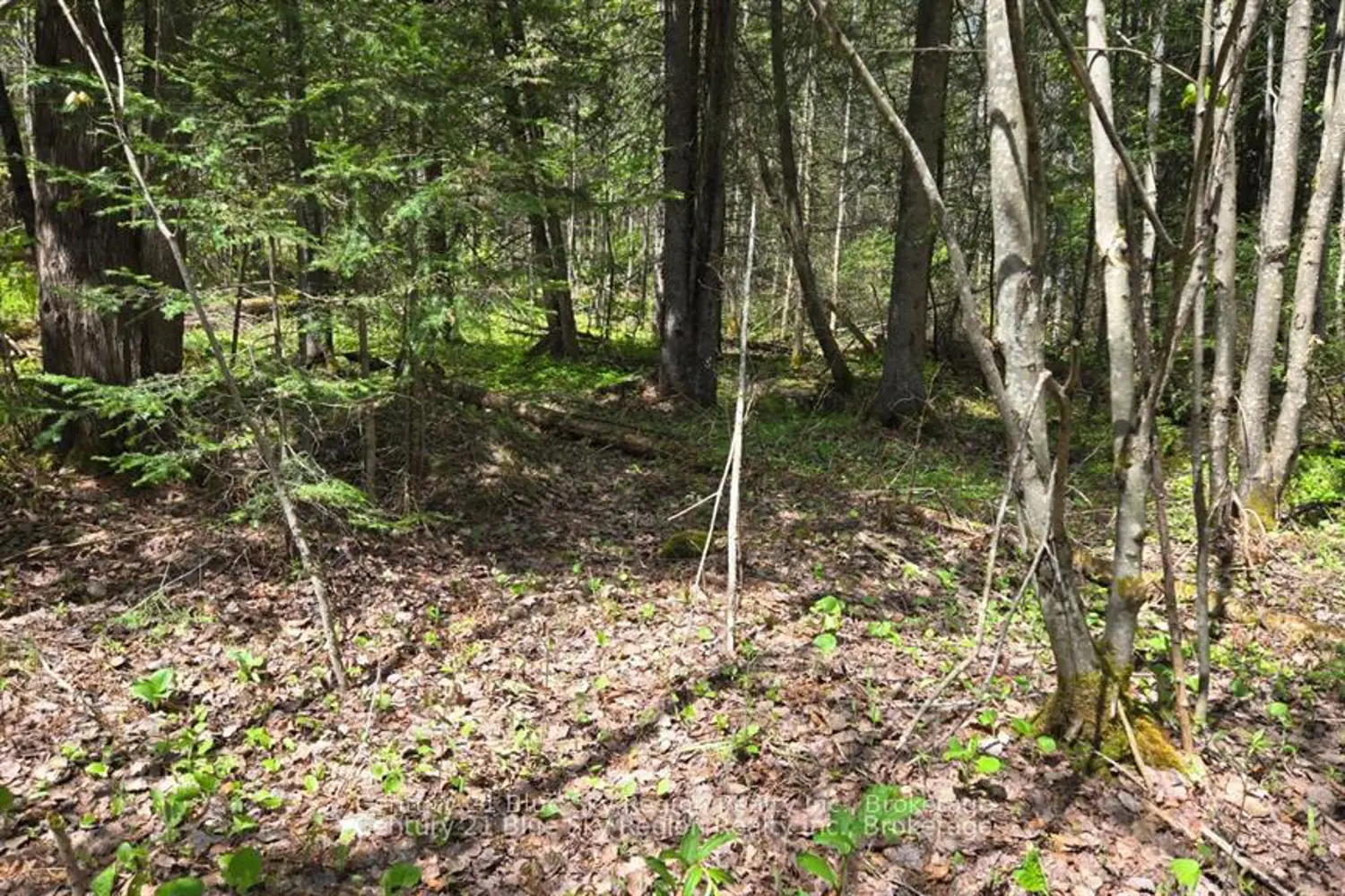 Additional image 4 of Pt Lt 10 Con 16 Village Road