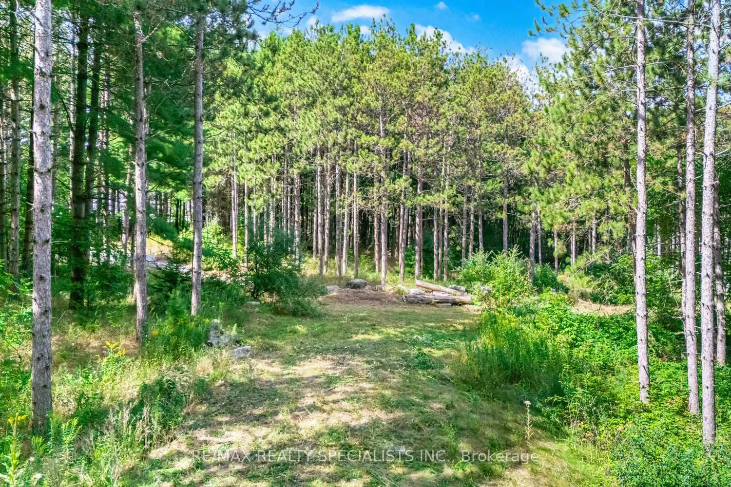 Additional image 16 of 18711 The Gore Road