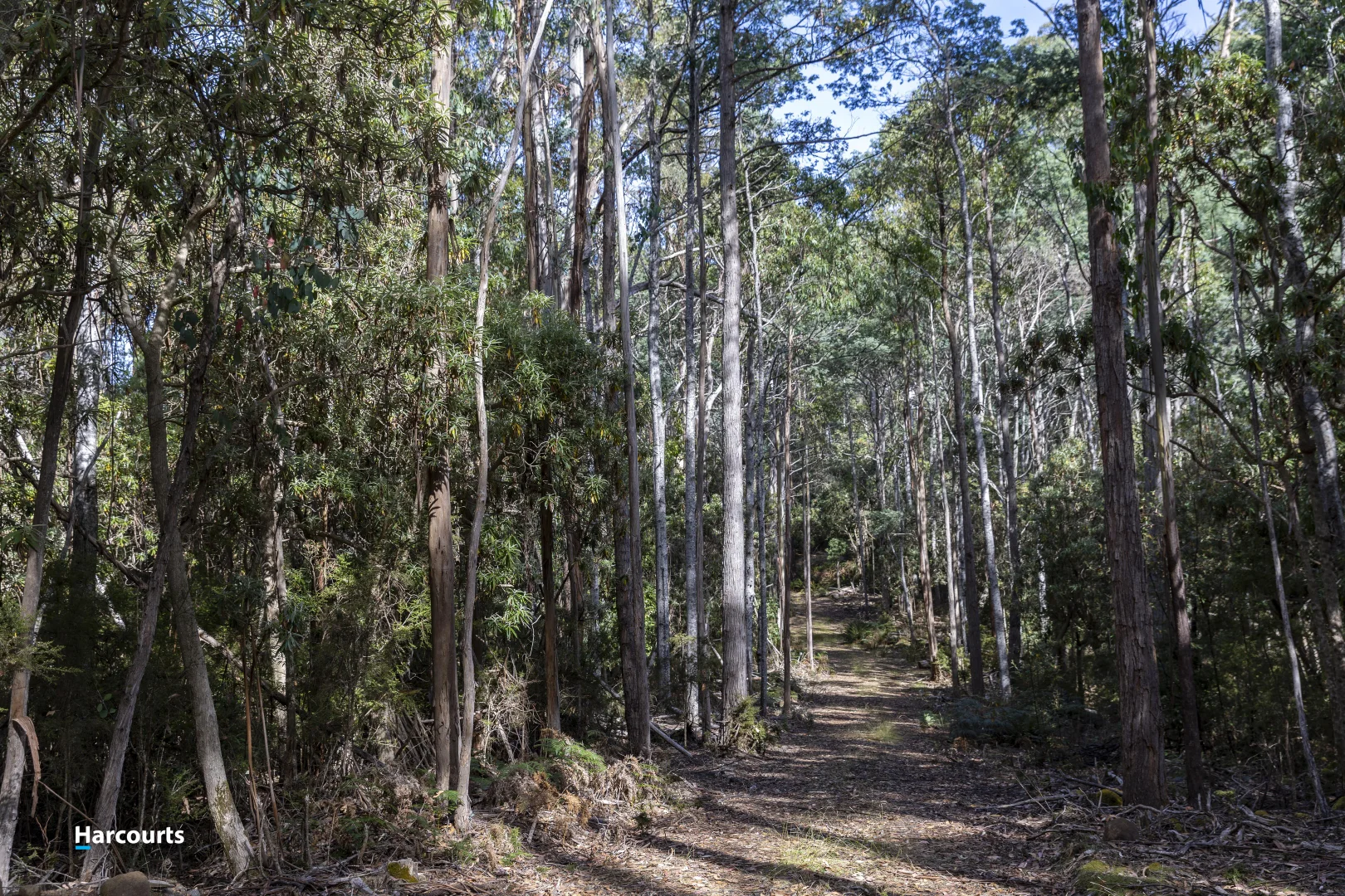 Additional image 32 of RA Basin Road, Grove TAS 7109