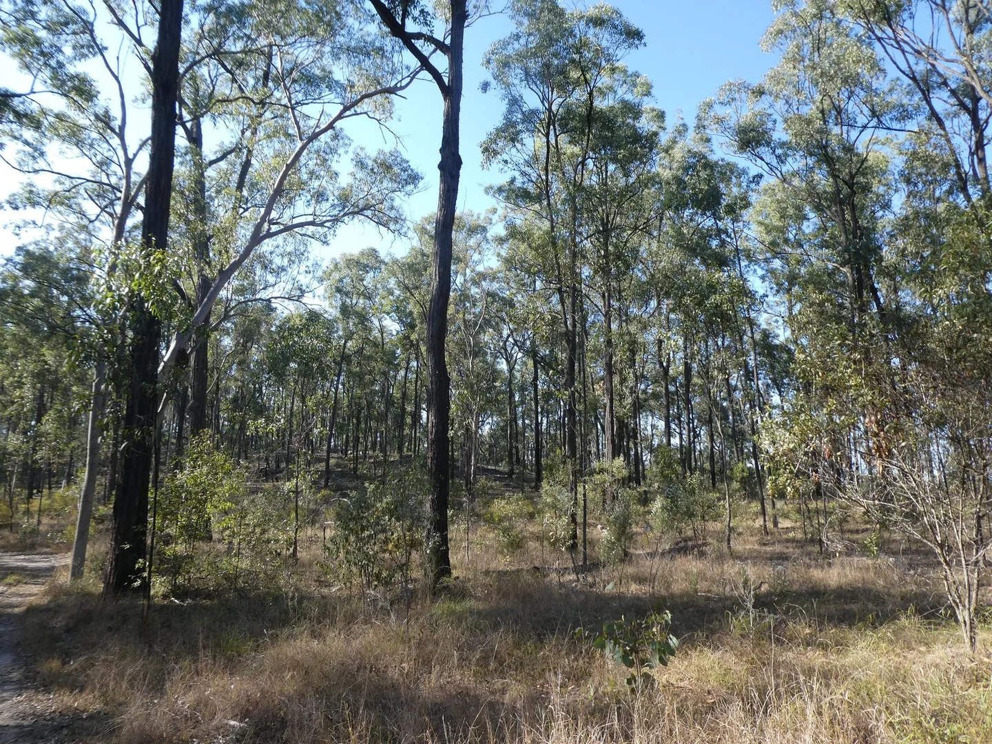 Additional image 22 of Lot 14 Monto Mount Perry Road, Mungy QLD 4671