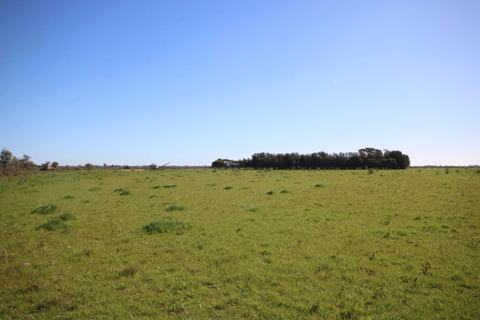 Additional image 17 of 221 Frosts Road, Canary Island VIC 3537