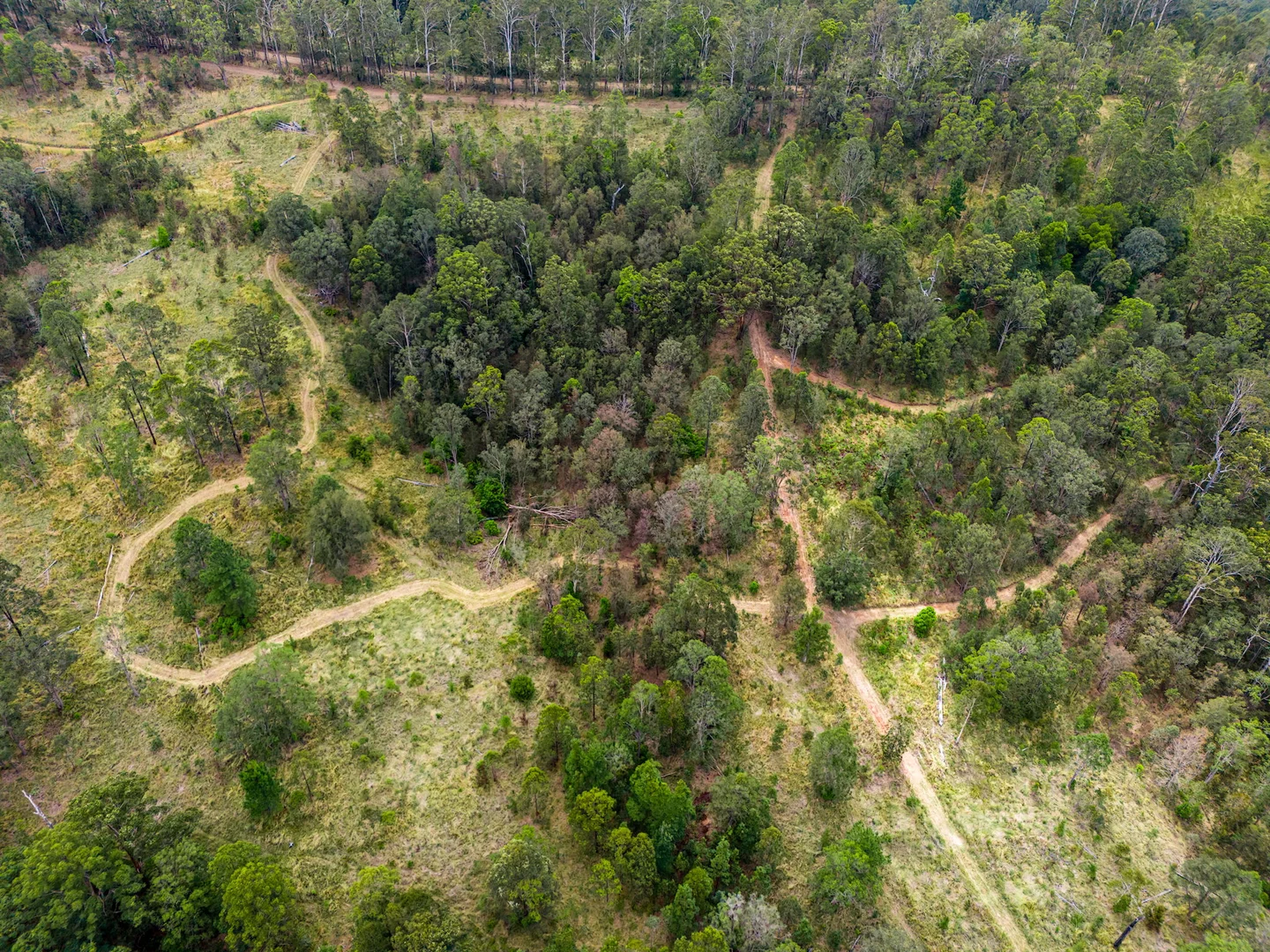 Additional image 15 of 497 Yabbra Road, Yabbra NSW 2469