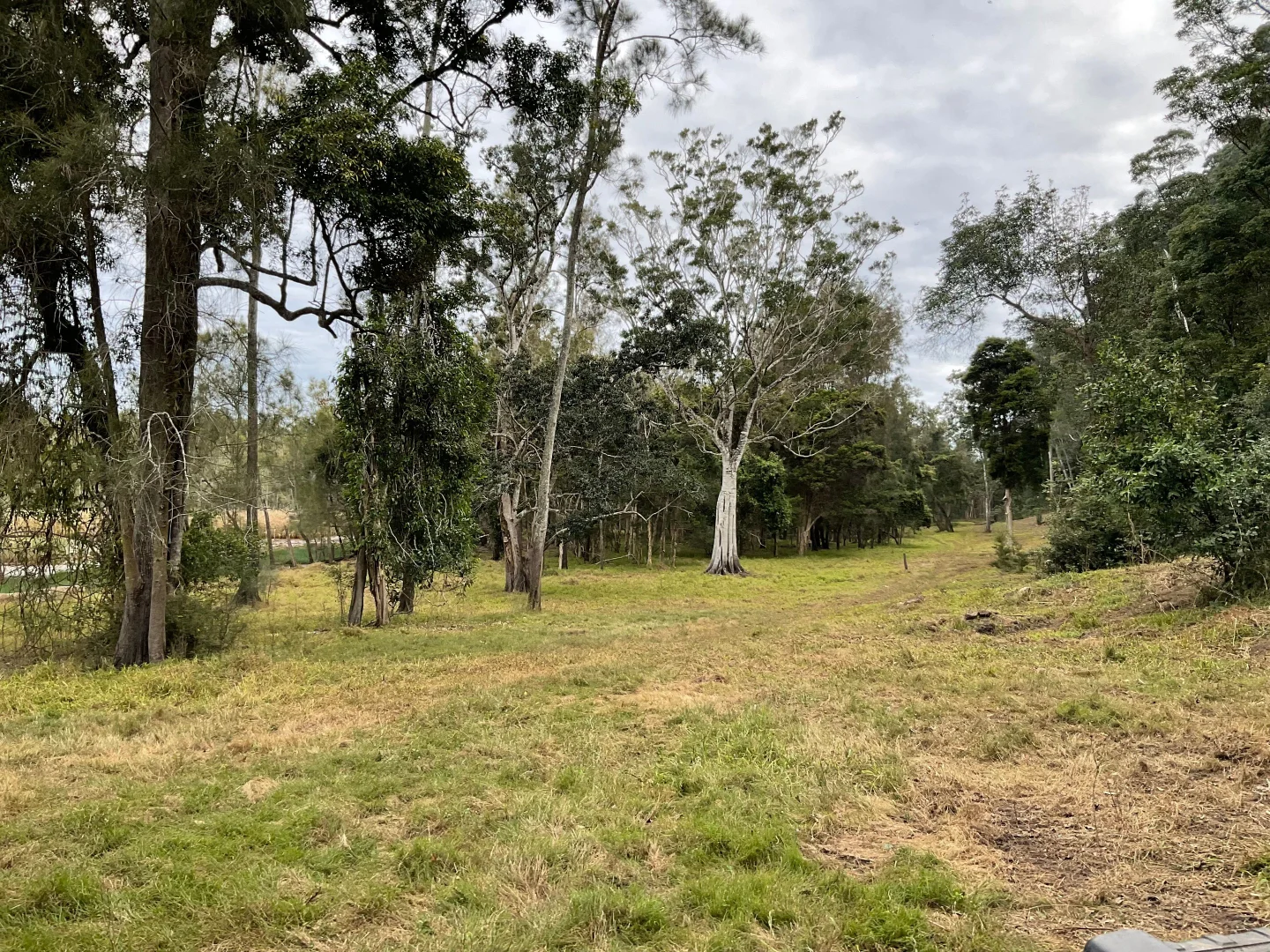 Additional image 24 of Ashby NSW 2463