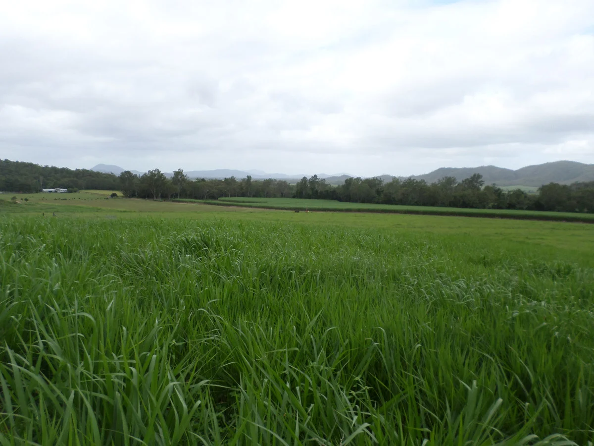 Additional image 4 of 109 Neilsen Omands Road, Septimus QLD 4754