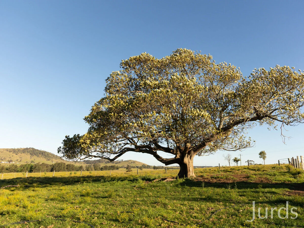 Additional image 25 of 42 Durham Street, Gosforth NSW 2320