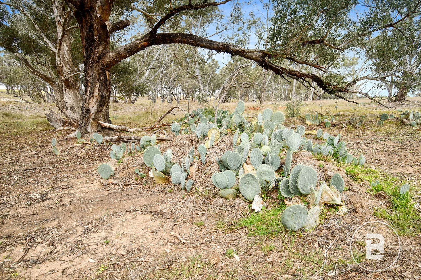 Additional image 15 of 602 Old Eddington Road, Betley VIC 3472
