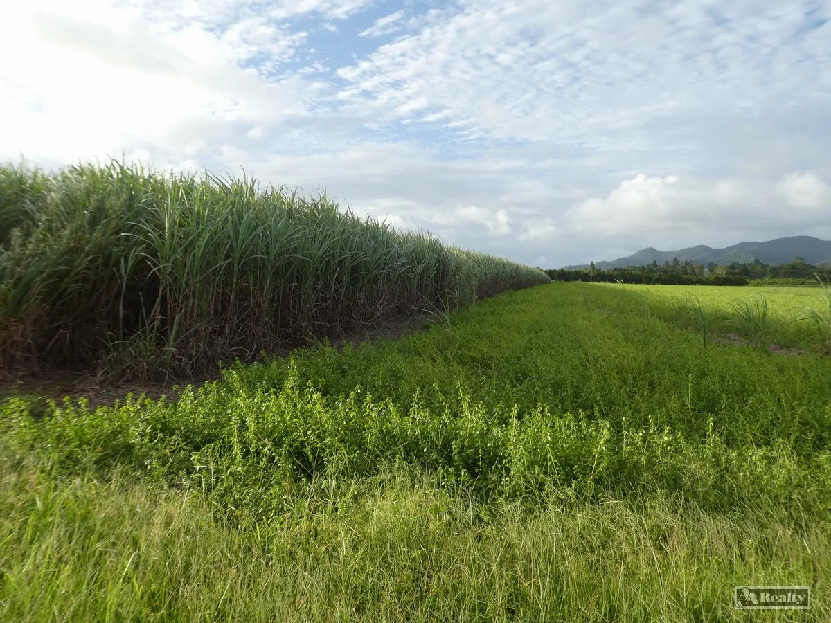 Additional image 14 of L15 Broccardo Road, Garradunga QLD 4860