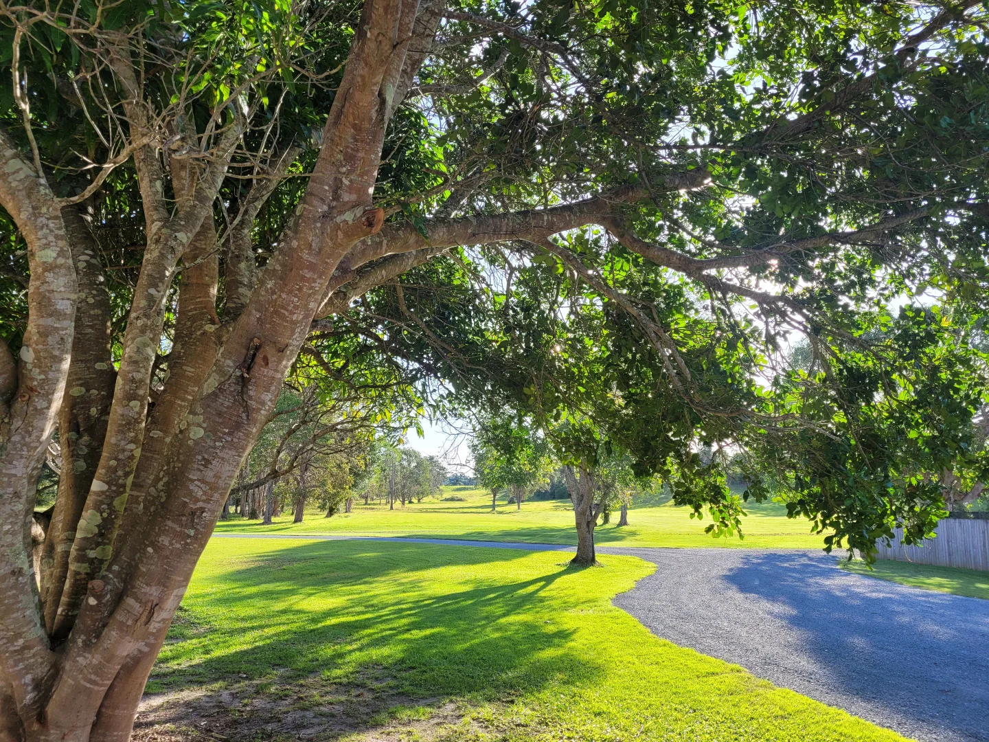 Additional image 3 of 1126 Pottsville Road, Pottsville NSW 2489