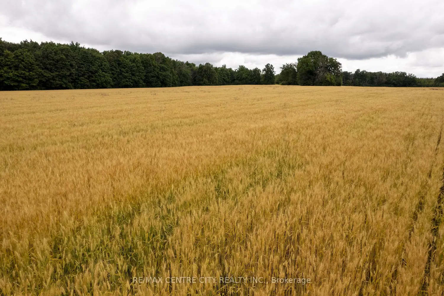 Additional image 5 of Pt Lt 6 Concession 8 Road