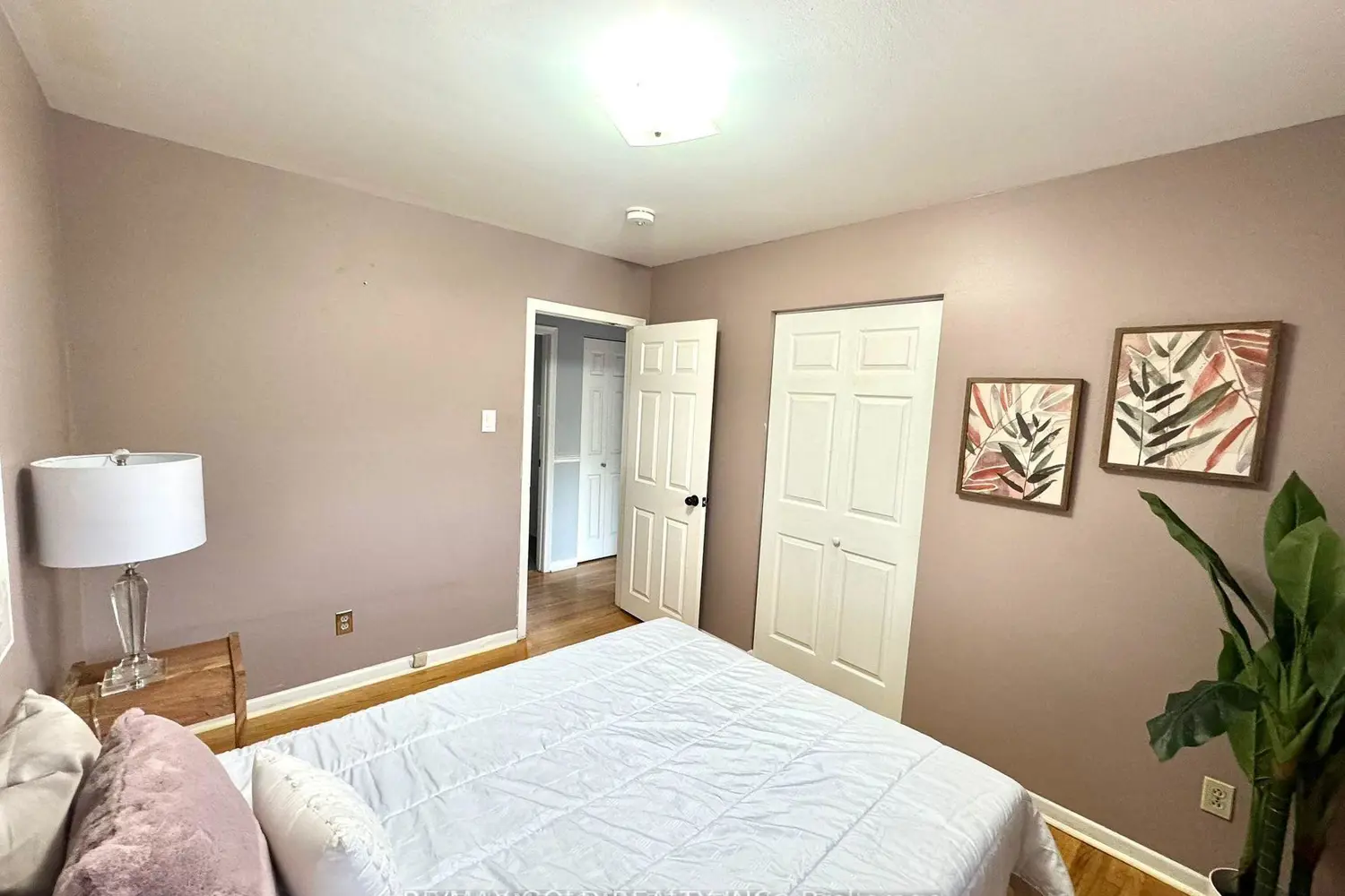 Additional image 9 of 7 Addington Crescent