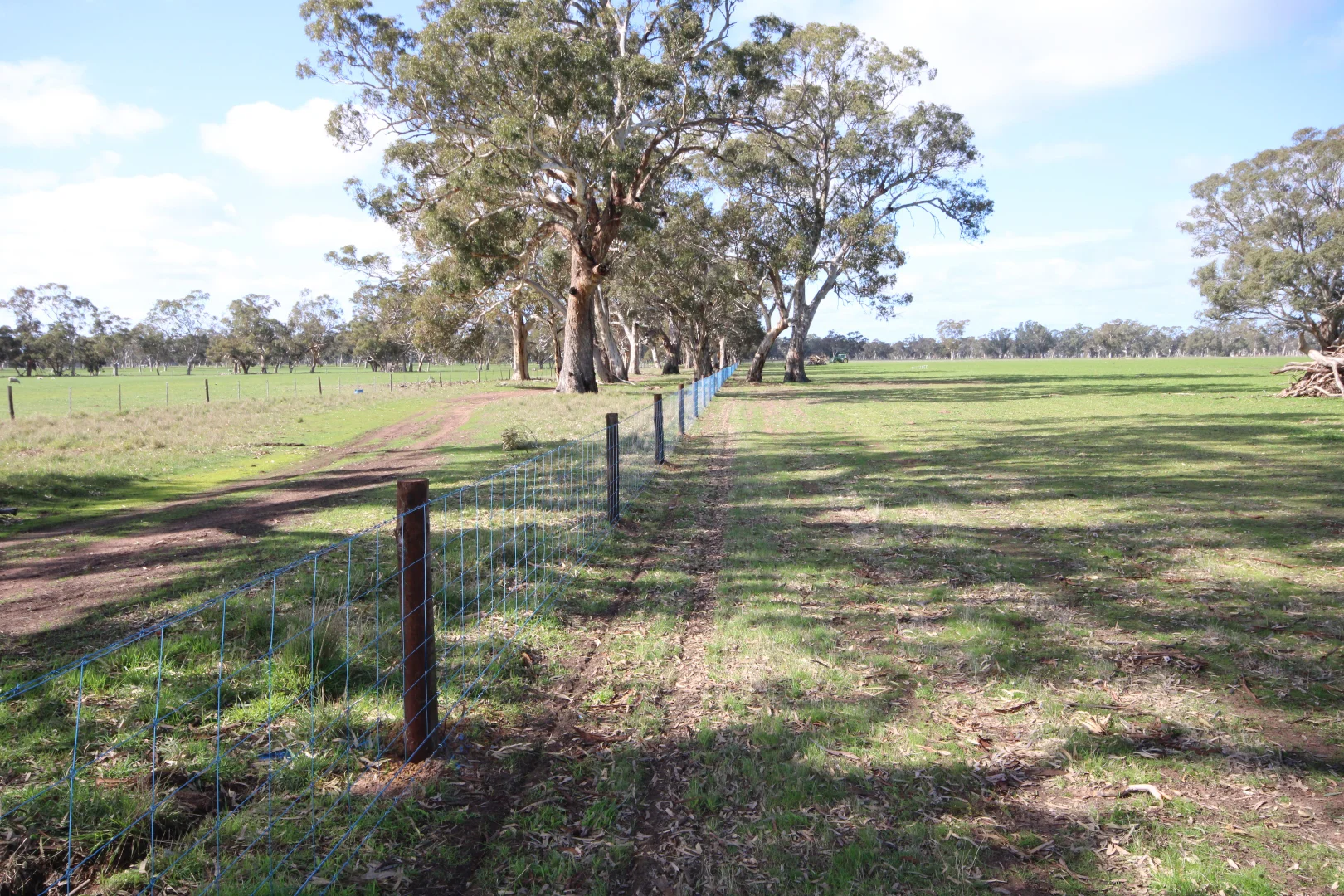 Additional image 7 of 202 Malones Road, Naracoorte SA 5271