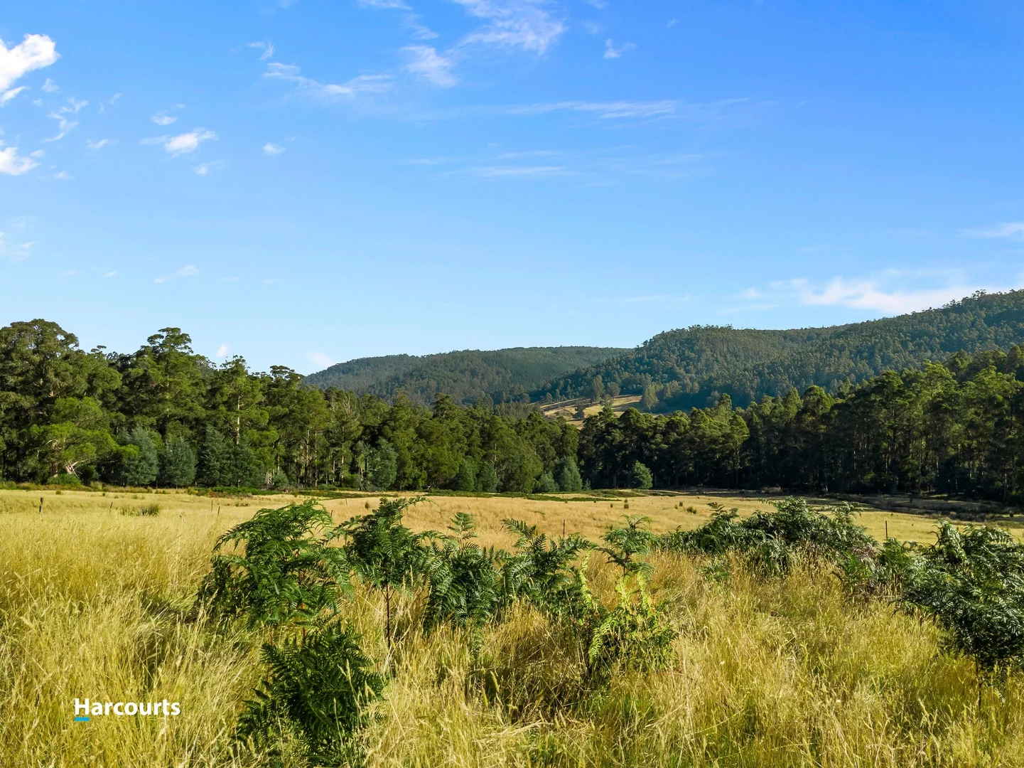 Additional image 29 of 90 Caseys Road, Nicholls Rivulet TAS 7112