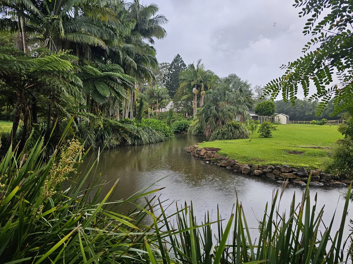 Additional image 22 of 517 Friday Hut Road, Brooklet NSW 2479