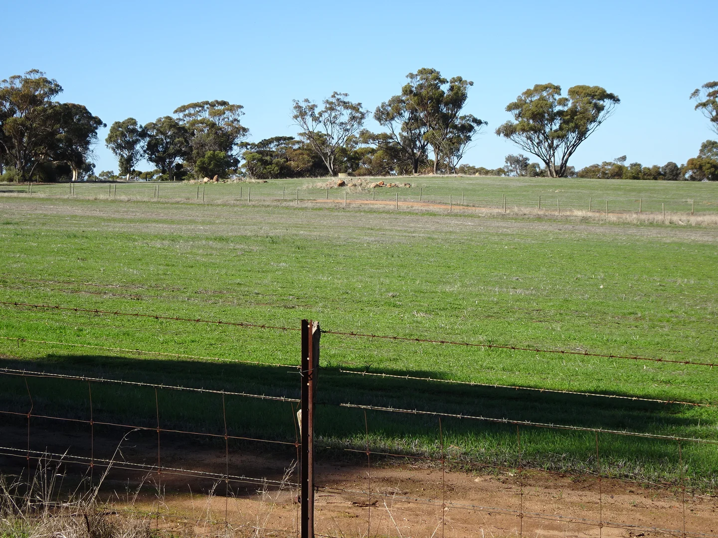 Additional image 4 of Shaddick Road, East Pingelly WA 6308