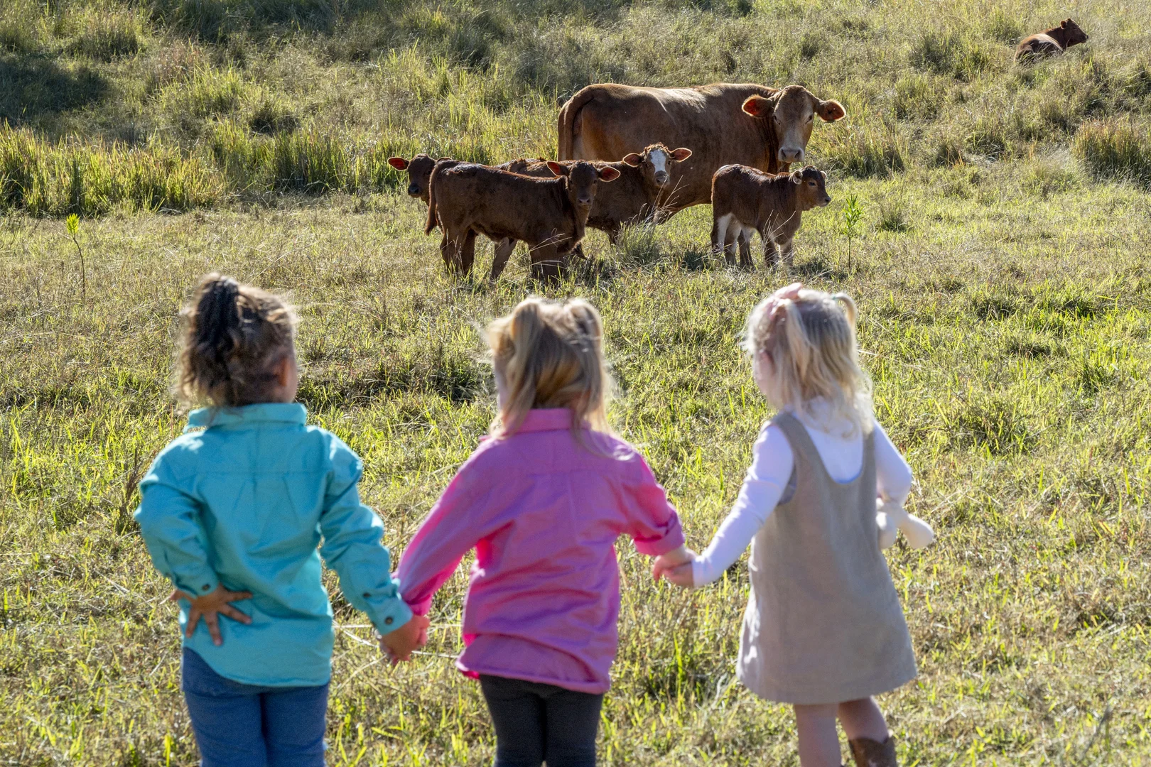 Additional image 4 of Lot 1,2,3,4 & 5 Rosewood-Warrill View Road, Coleyville QLD 4307