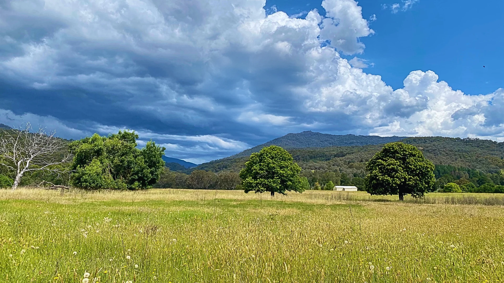 Additional image 10 of Mount Beauty VIC 3699