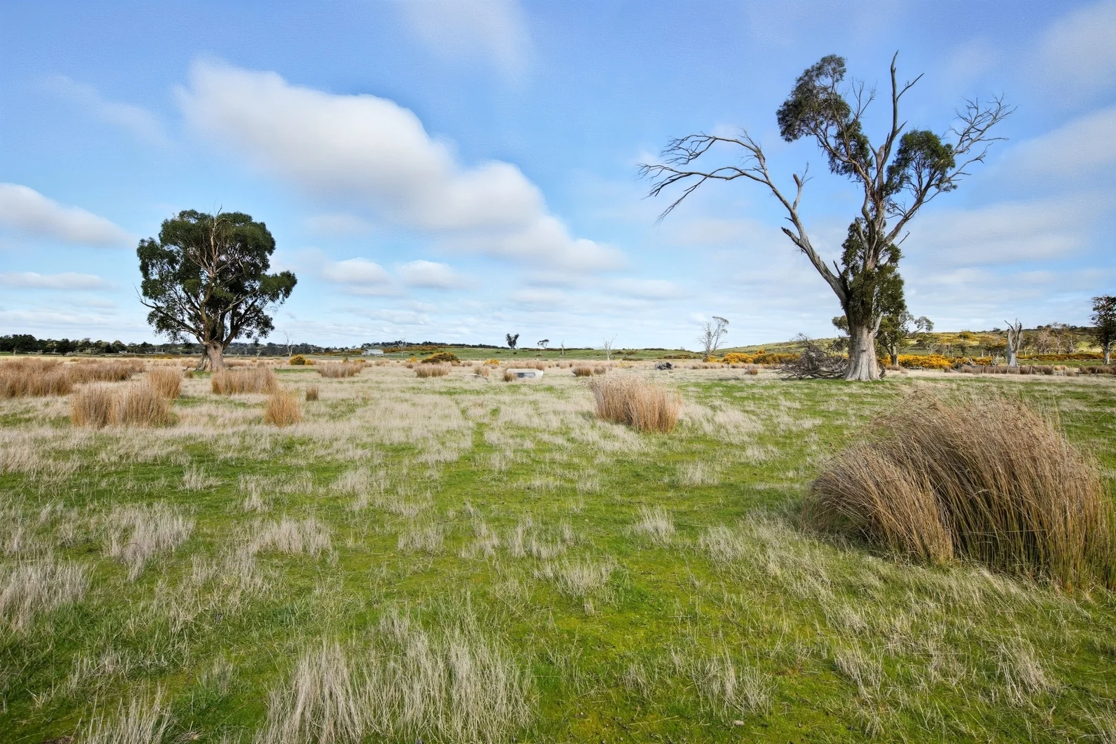 Additional image 33 of 33 Haggerston Farm Road, Perth TAS 7300