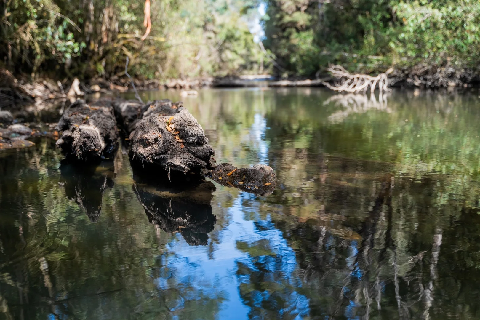 Additional image 12 of 77 Fitzgerald Station Rd, Fitzgerald TAS 7140