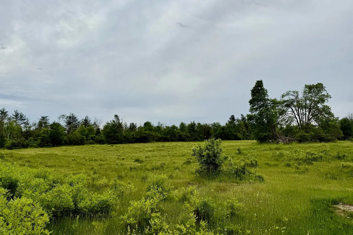 Additional image 2 of 00 Cooper Road