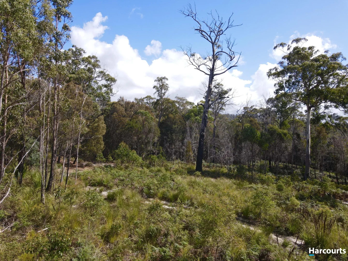 Additional image 13 of 311 Medeas Cove Road, St Helens TAS 7216