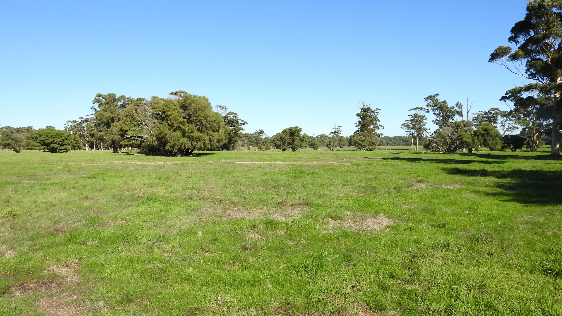 Additional image 11 of Calgardup Road, Forest Grove WA 6286