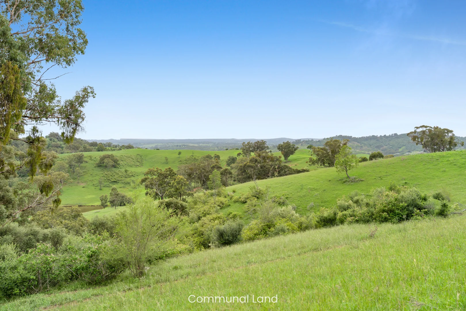 Additional image 44 of 10 Alexander Way, Mount Hunter NSW 2570