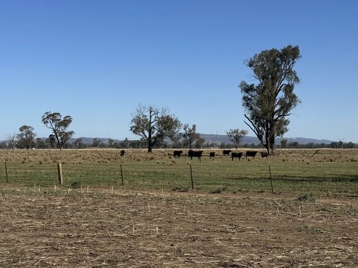 Additional image 8 of 122 Reapers Road, Culcairn NSW 2660